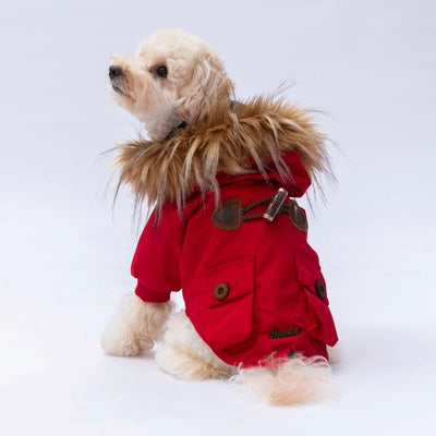 Pawstar Red Charles Raincoat M