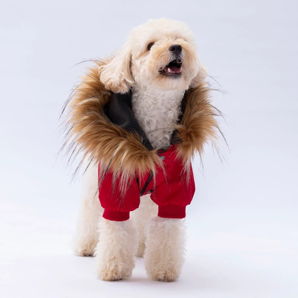 Pawstar Red Charles Raincoat M