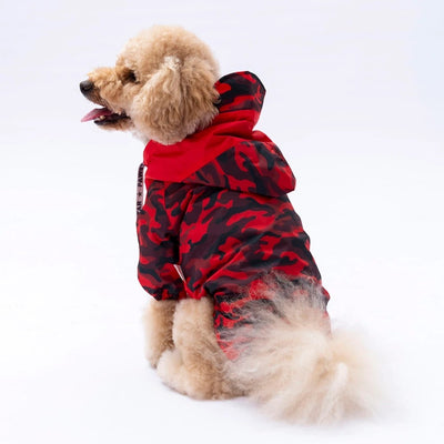 Pawstar Red Dijon Raincoat M