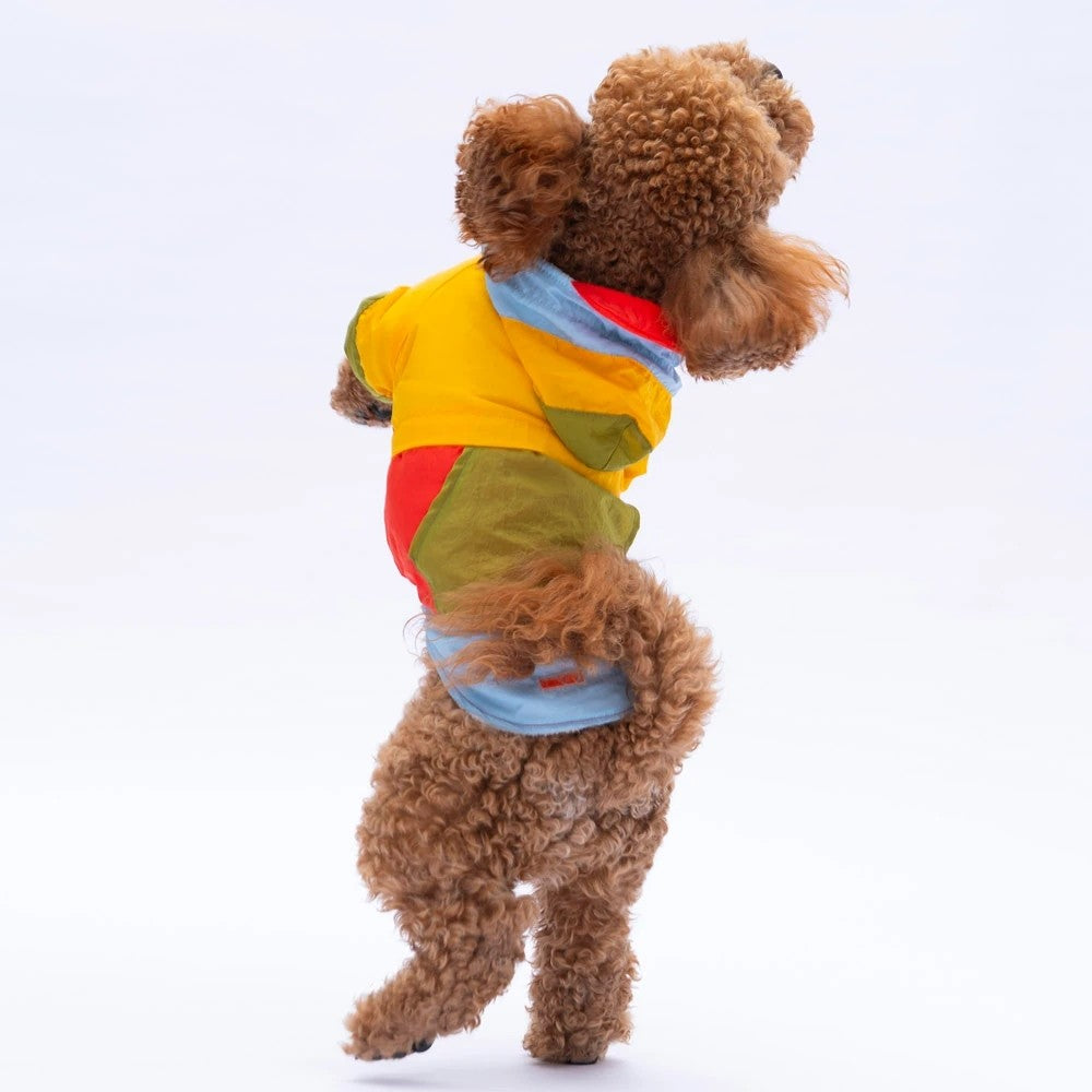 Pawstar Vivid Kauai Raincoat 2XL