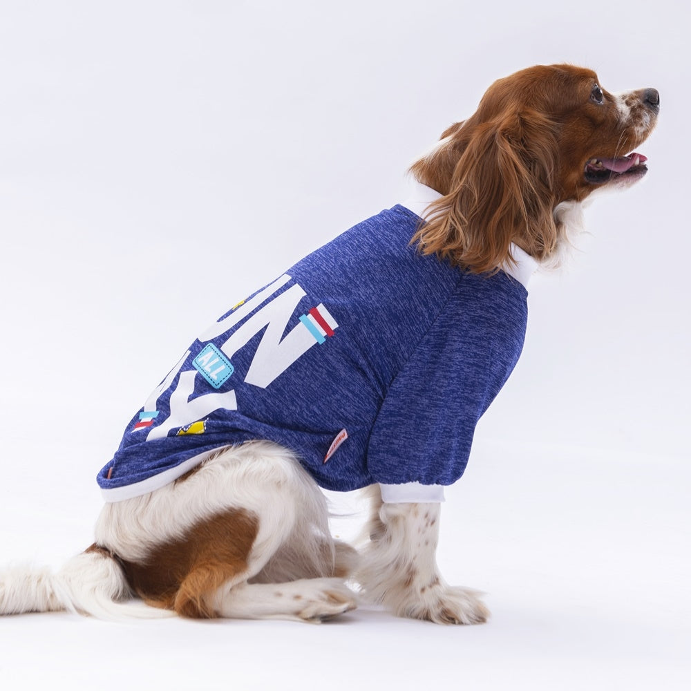 PawStar Blue Fun Day Sweat XL