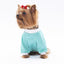 PawStar Mint Fun Day Sweat L