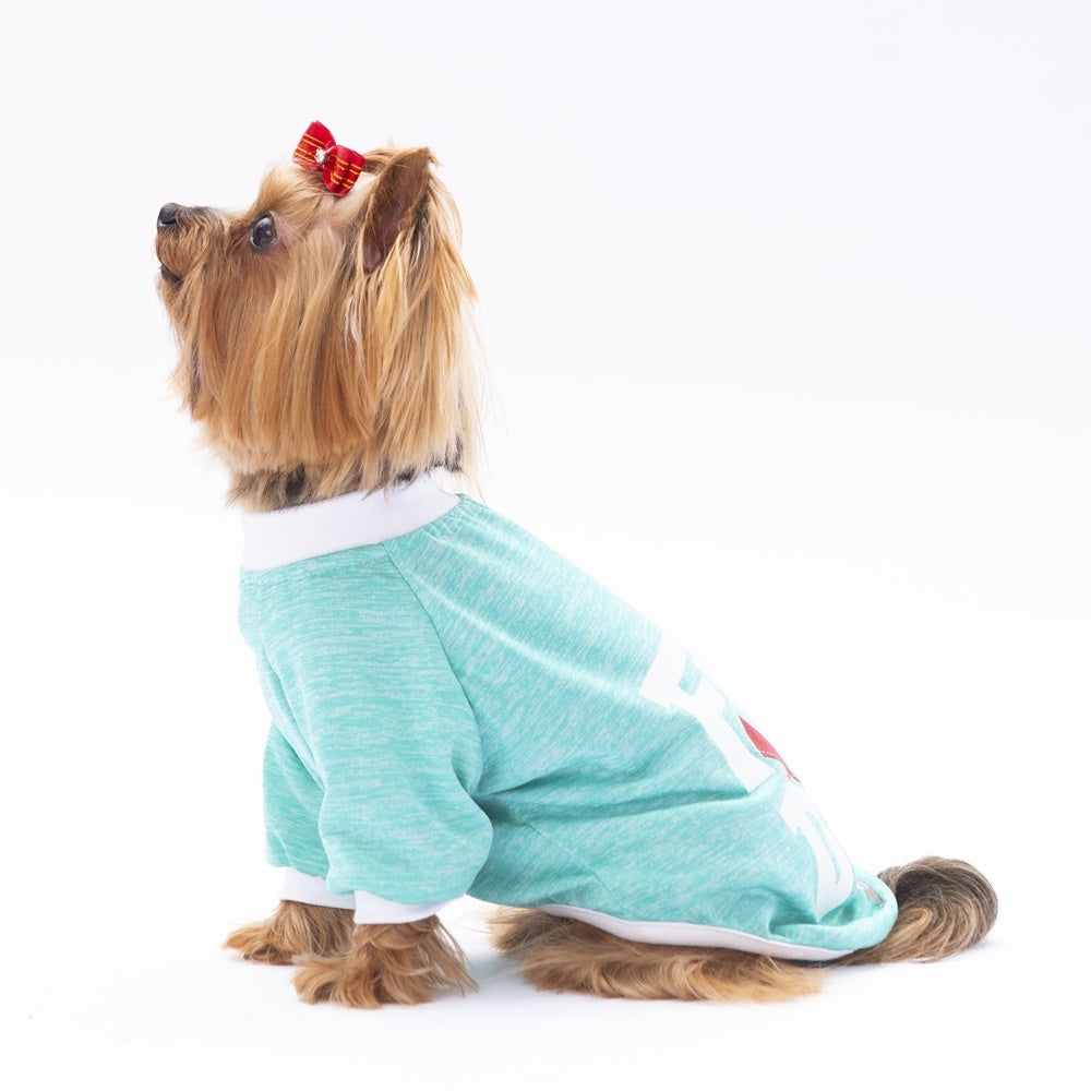 PawStar Mint Fun Day Sweat L
