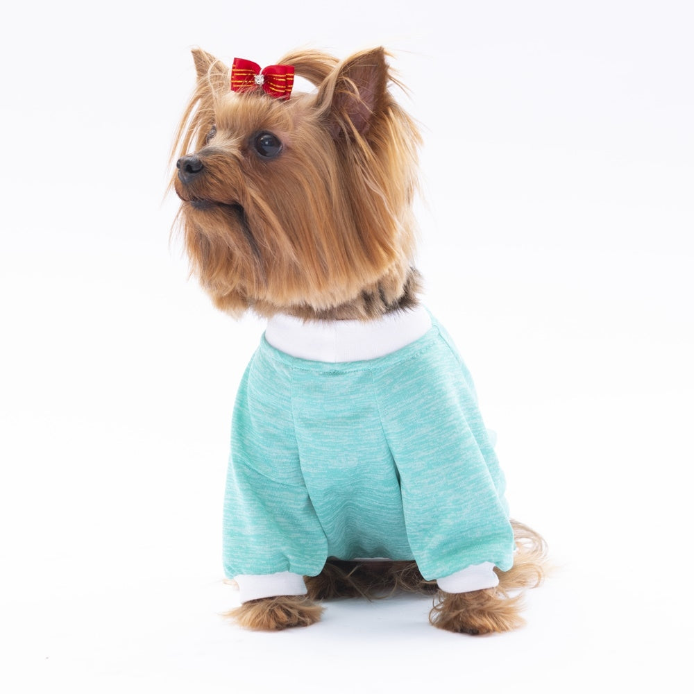 PawStar Mint Fun Day Sweat M