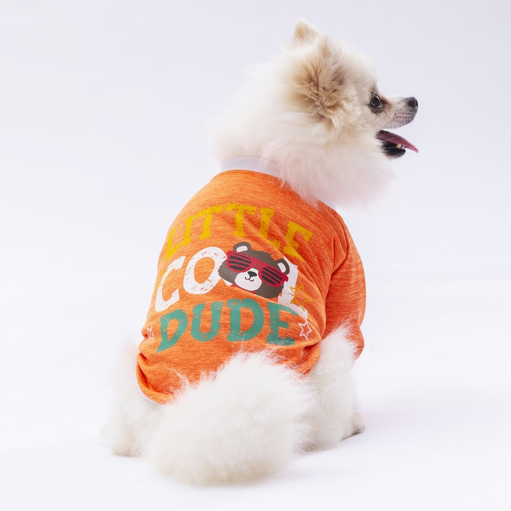 PawStar Orange Dude Sweat M