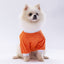 PawStar Orange Dude Sweat M