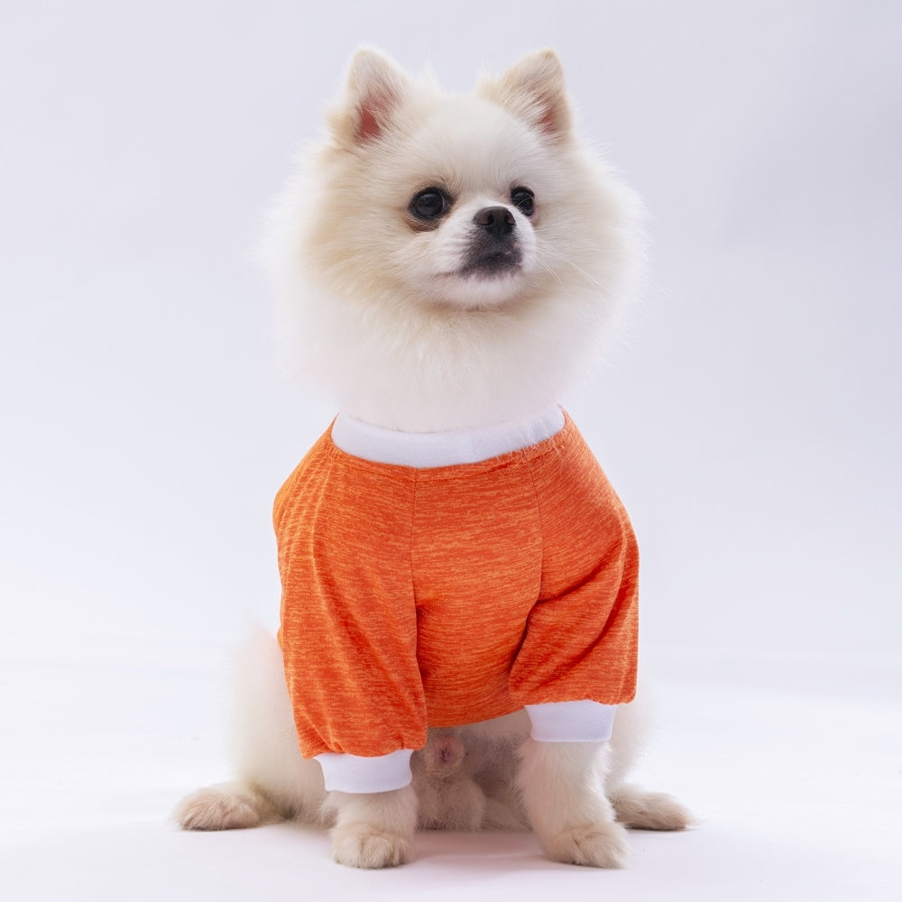 PawStar Orange Dude Sweat M