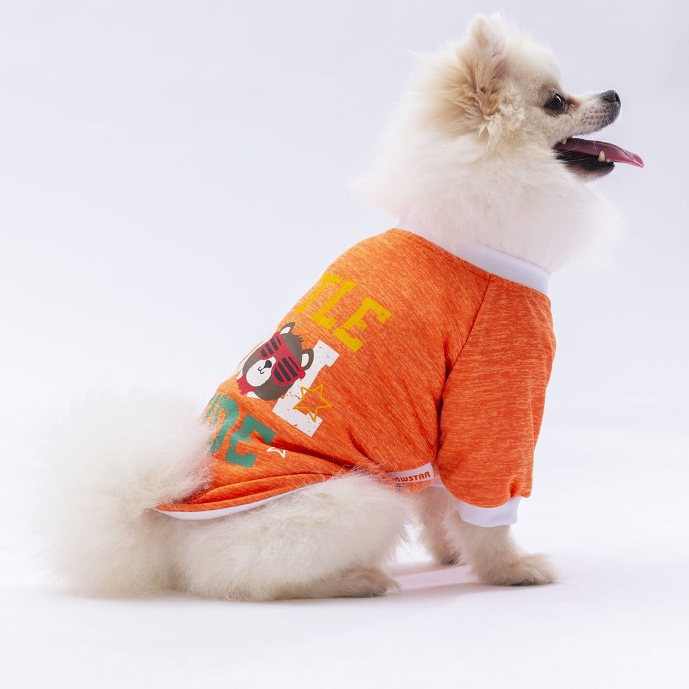 PawStar Orange Dude Sweat M