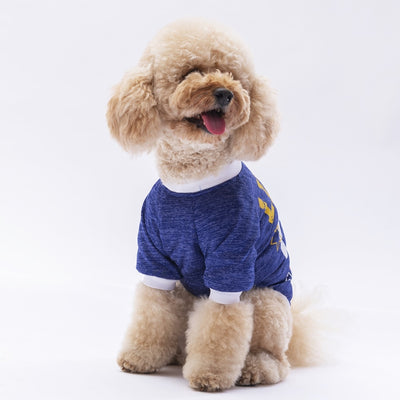 PawStar Blue Dude Sweat XL