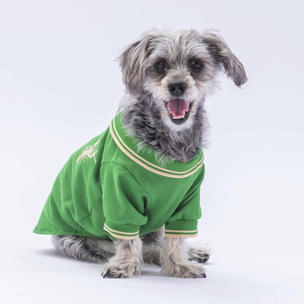 PawStar Green Marine Polo Shirt 2XL