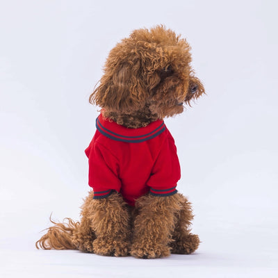 PawStar Red Marine Polo Shirt L