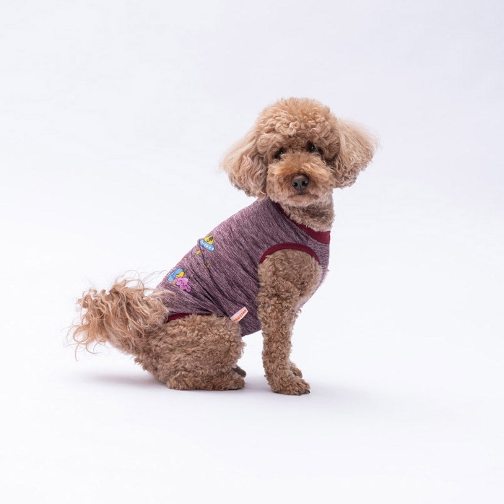 PawStar Burgundy Space Time 2XL
