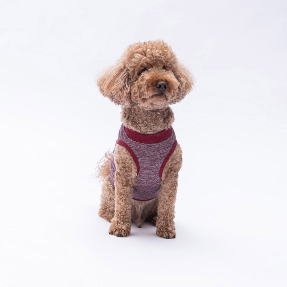 PawStar Burgundy Space Time S