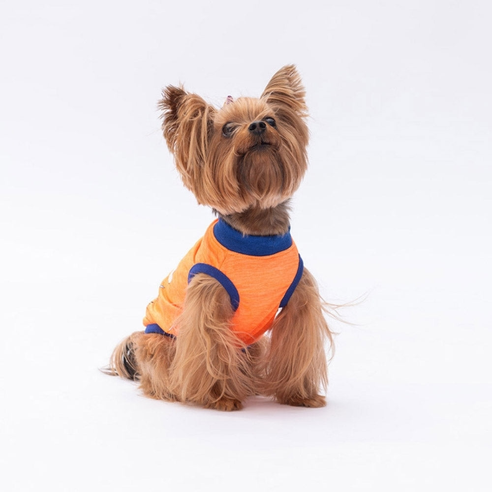 PawStar Neon Orange Be Kind S
