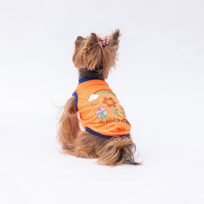 PawStar Neon Orange Be Kind XL