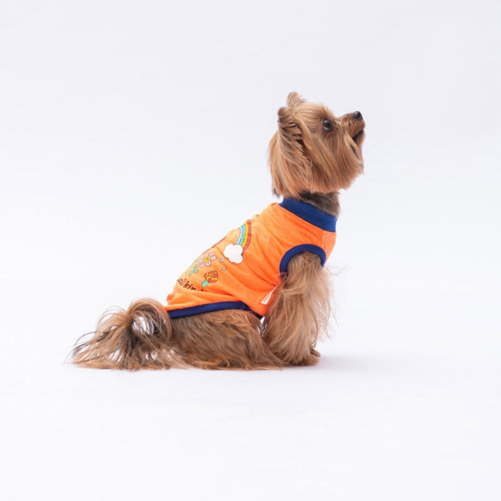 PawStar Neon Orange Be Kind XL