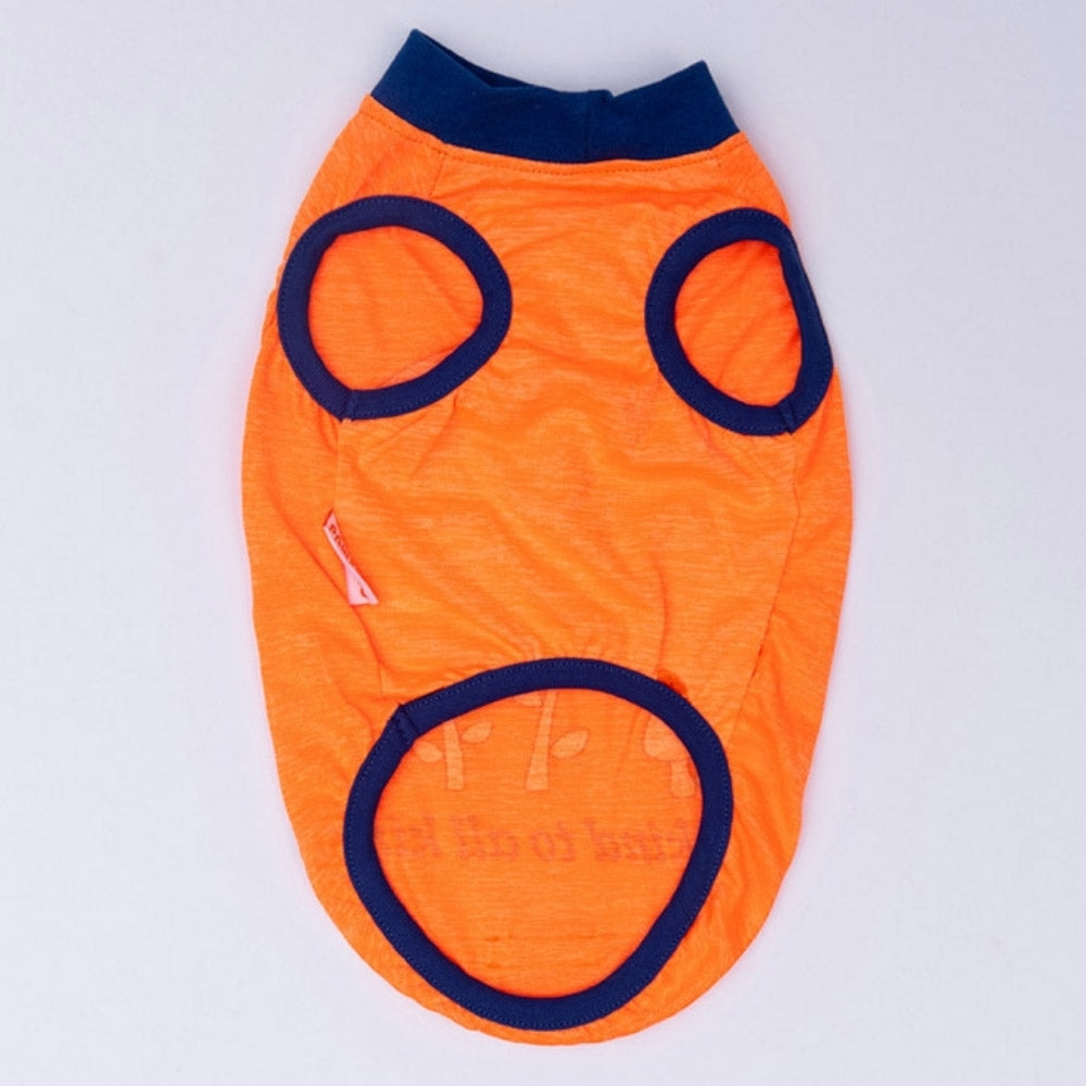PawStar Neon Orange Be Kind XL
