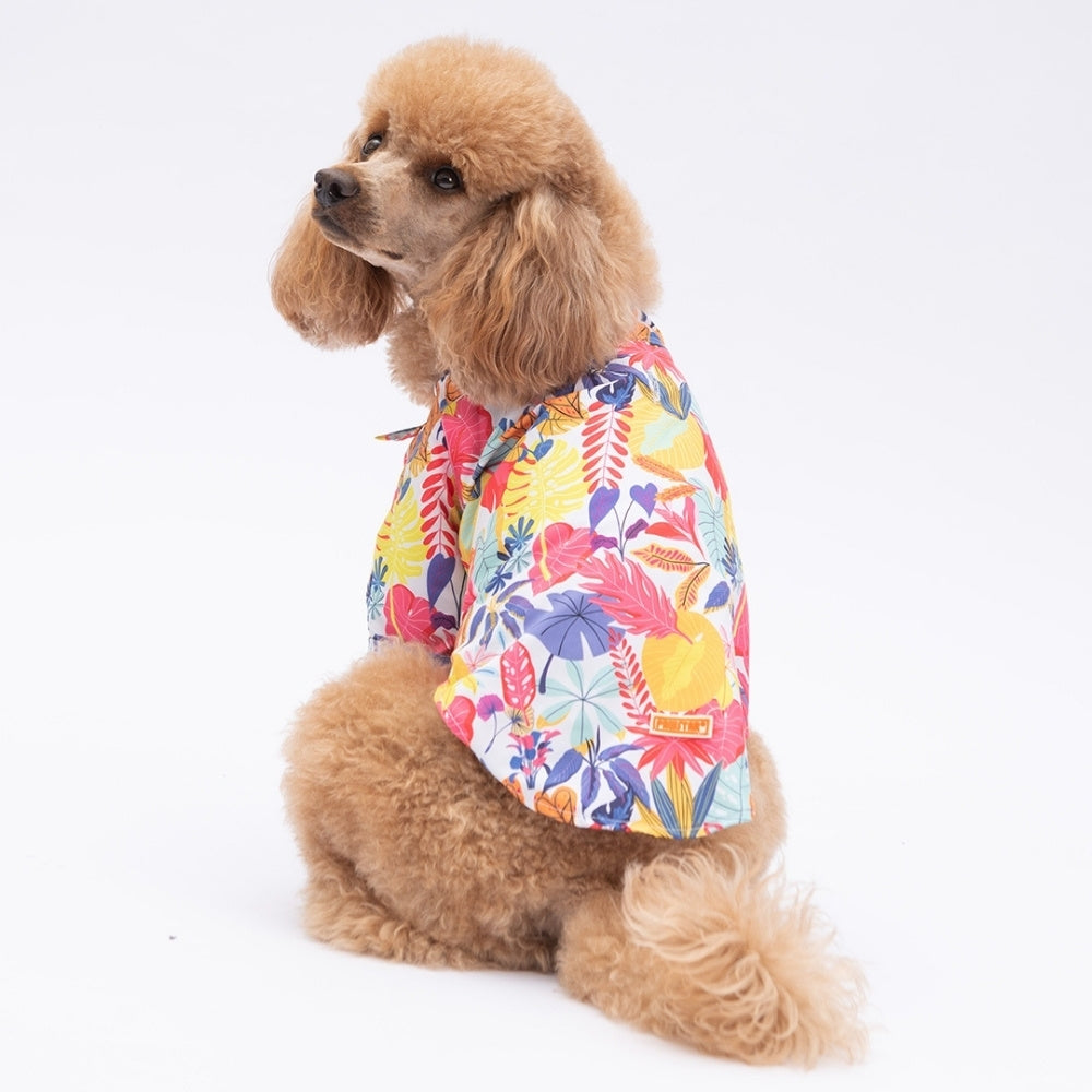 PawStar Miami L