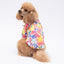 PawStar Miami M