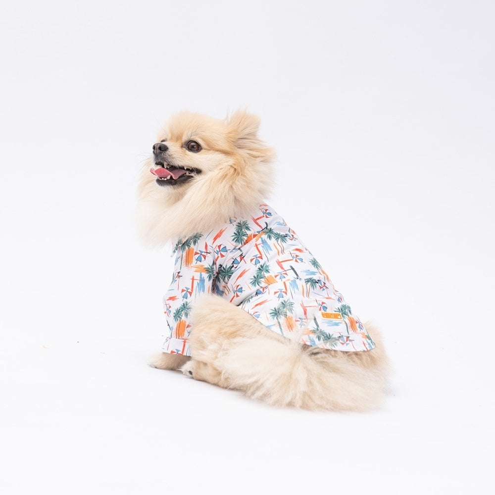 PawStar Palm Beach 2XL