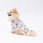 PawStar Palm Beach 2XL