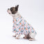 PawStar Palm Beach 2XL