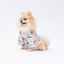 PawStar Palm Beach L