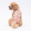 PawStar Love Macarons M