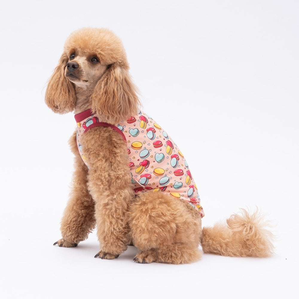 PawStar Love Macarons S