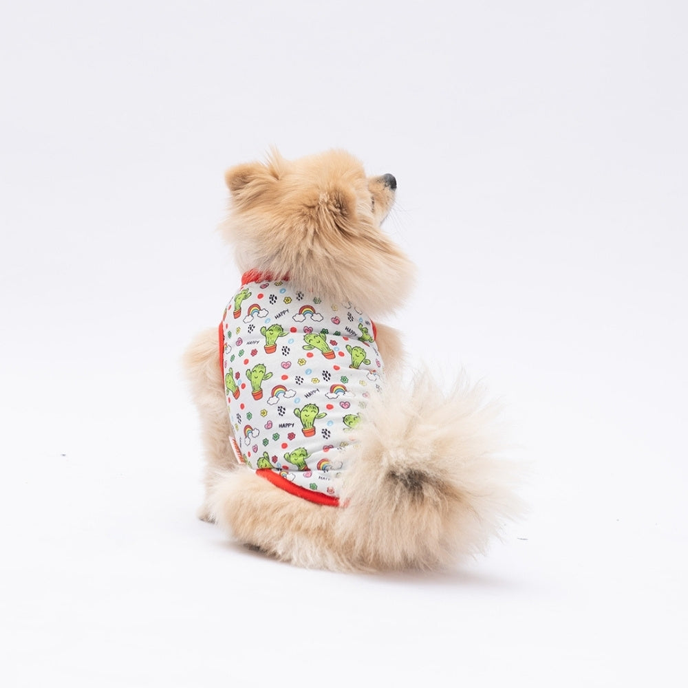 PawStar Happy Cactus XL