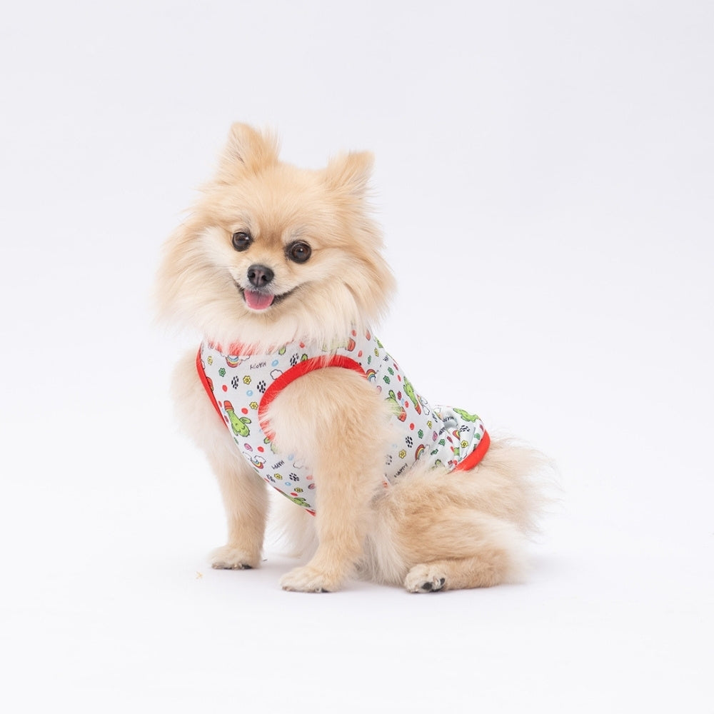 PawStar Happy Cactus XL