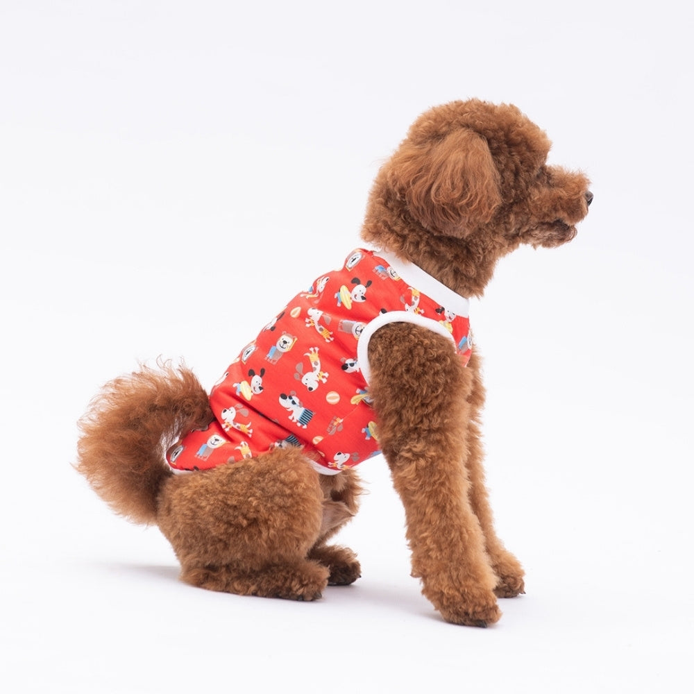 PawStar Holiday Dogs L