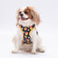 PawStar Star Hamburger 2XL