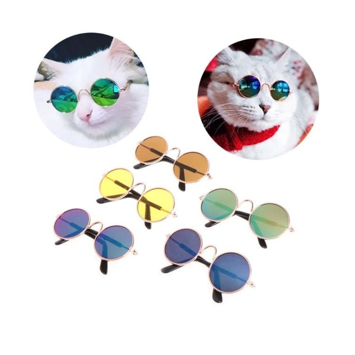 Nunbell Kedi Köpek Gözlük