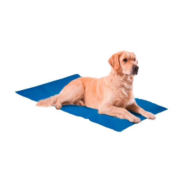 Nunbell Serinleticili Köpek Yatağı 50*90cm XXL