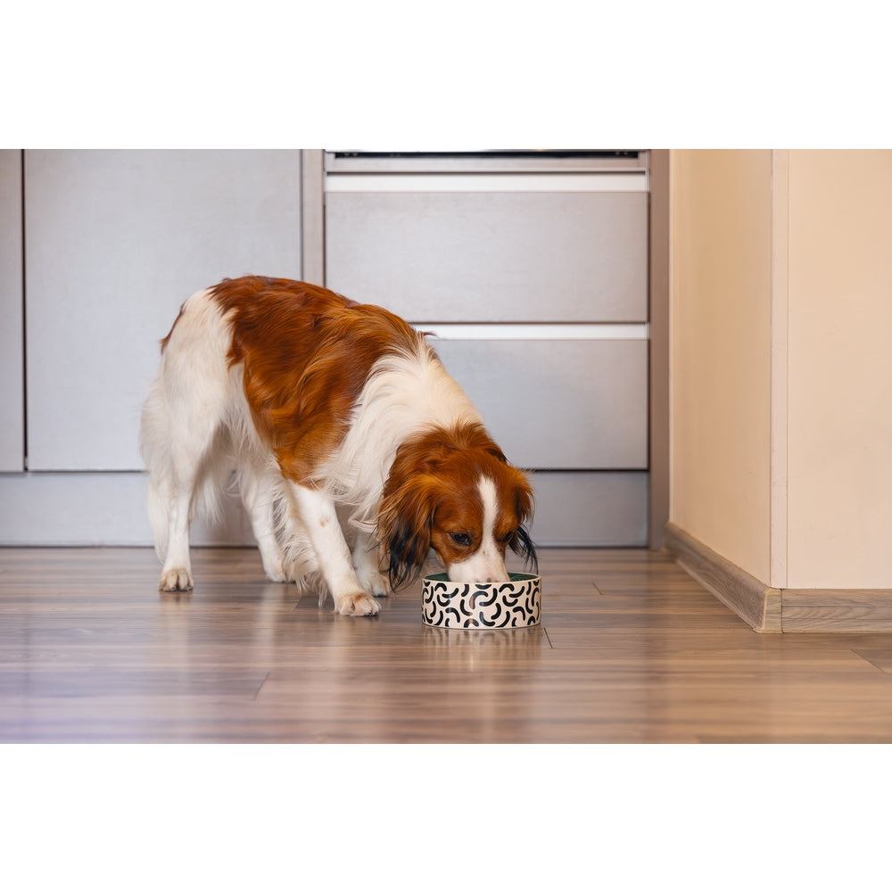 Beeztees Köpek Mama Su Kabı, Seramik, Yeşil Beyaz, 16cm, 800ml