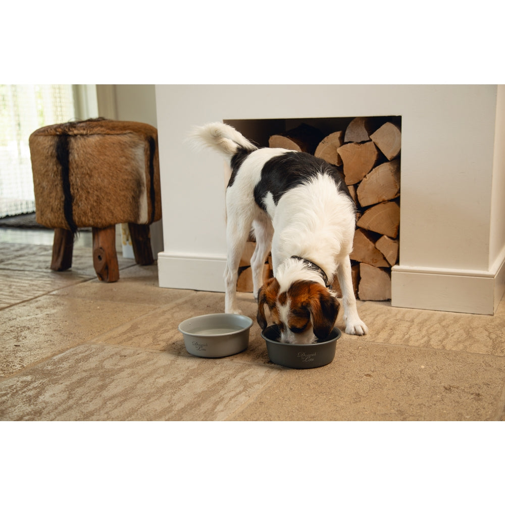Beeztees DBL Köpek Mama Su Kabı, Mat Siyah Paslanmaz Çelik, 16cm, 940ml