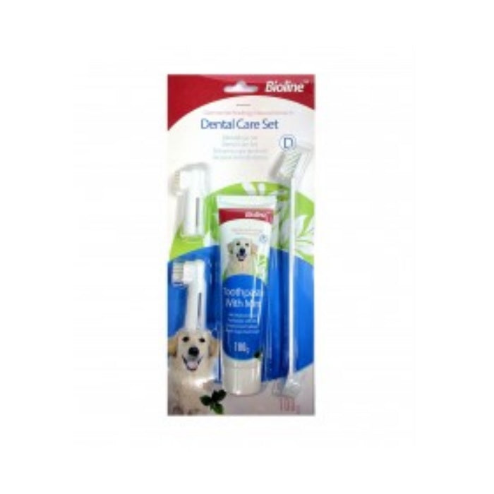 BIOLINE DENTAL DİŞ BAKIM SETİ