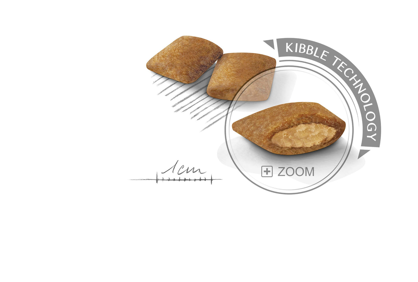 Royal Canin CCN Mini Exigent 3 Kg Yetişkin Kuru Köpek Maması