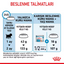 Royal Canin Mini Starter Mother&Babydog 1 Kg Yavru Kuru Köpek Maması