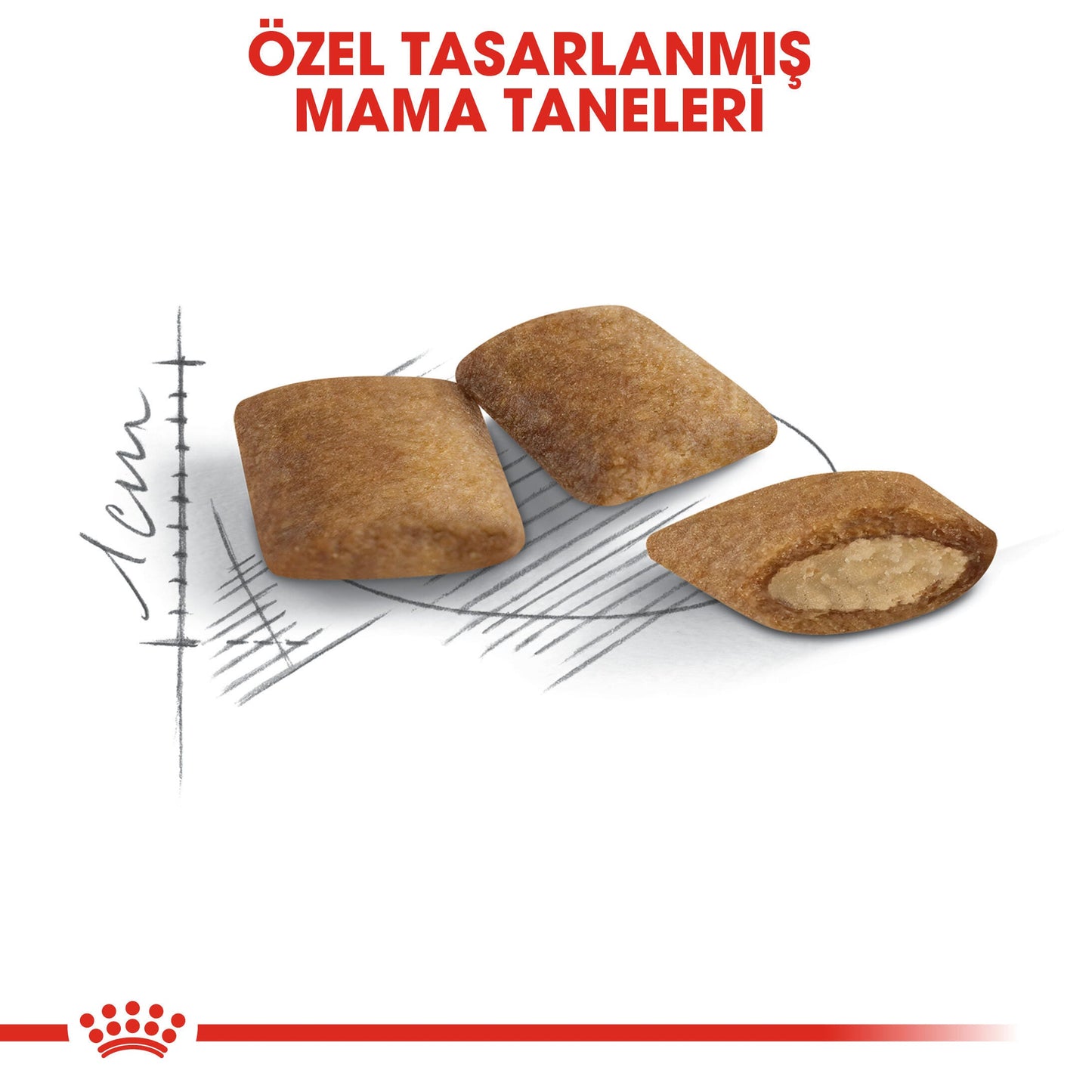 Royal Canin Ageing +12 2 Kg Yaşlı Kuru Kedi Maması