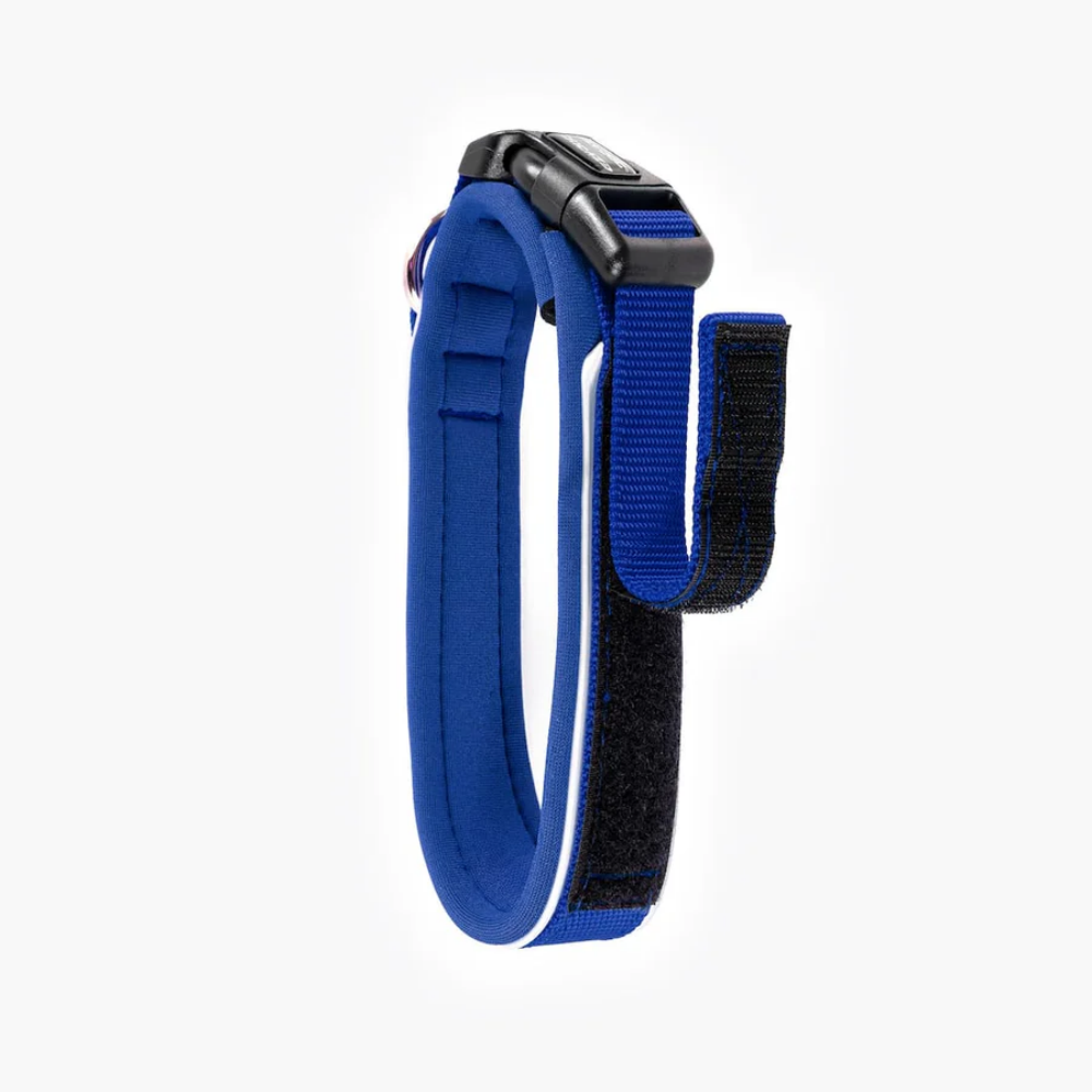EzyDog 50065 Neo Collar Classic L Blue