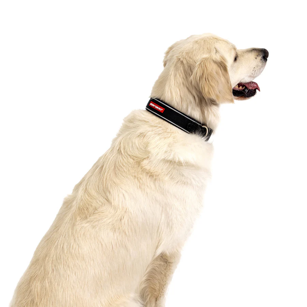 EzyDog NEO COLLAR CLASSIC M CANDY