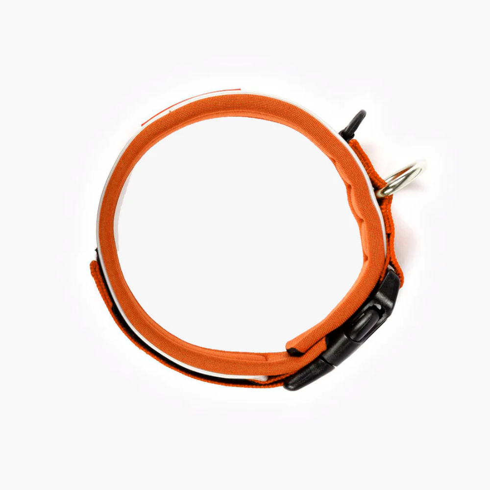 EzyDog NEO COLLAR CLASSIC M ORANGE