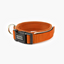 EzyDog NEO COLLAR CLASSIC M ORANGE