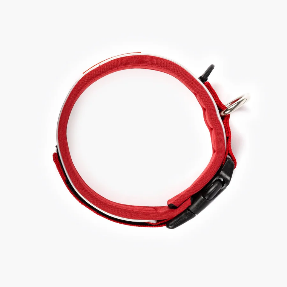 EzyDog NEO COLLAR CLASSIC M RED