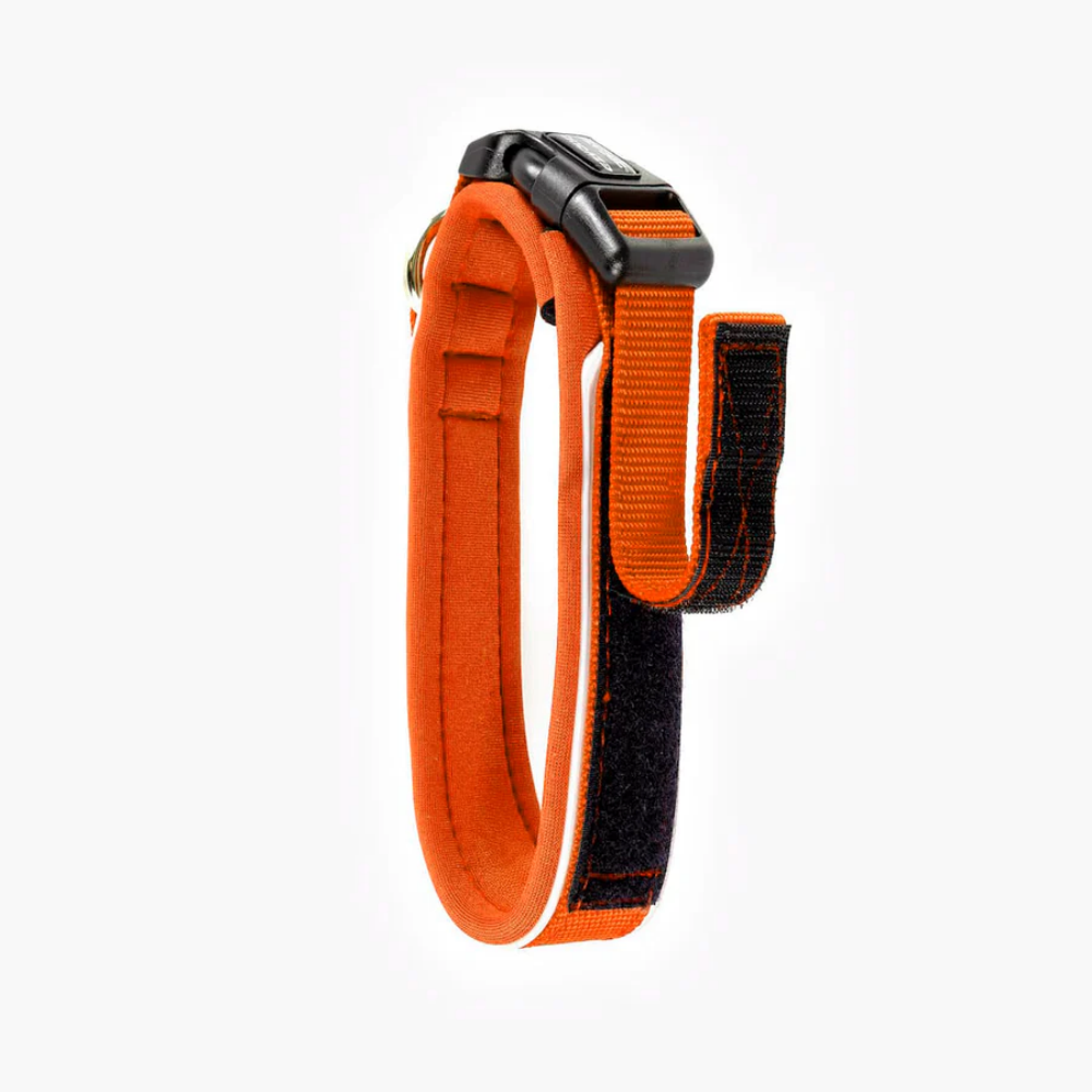 EzyDog NEO COLLAR CLASSIC S ORANGE