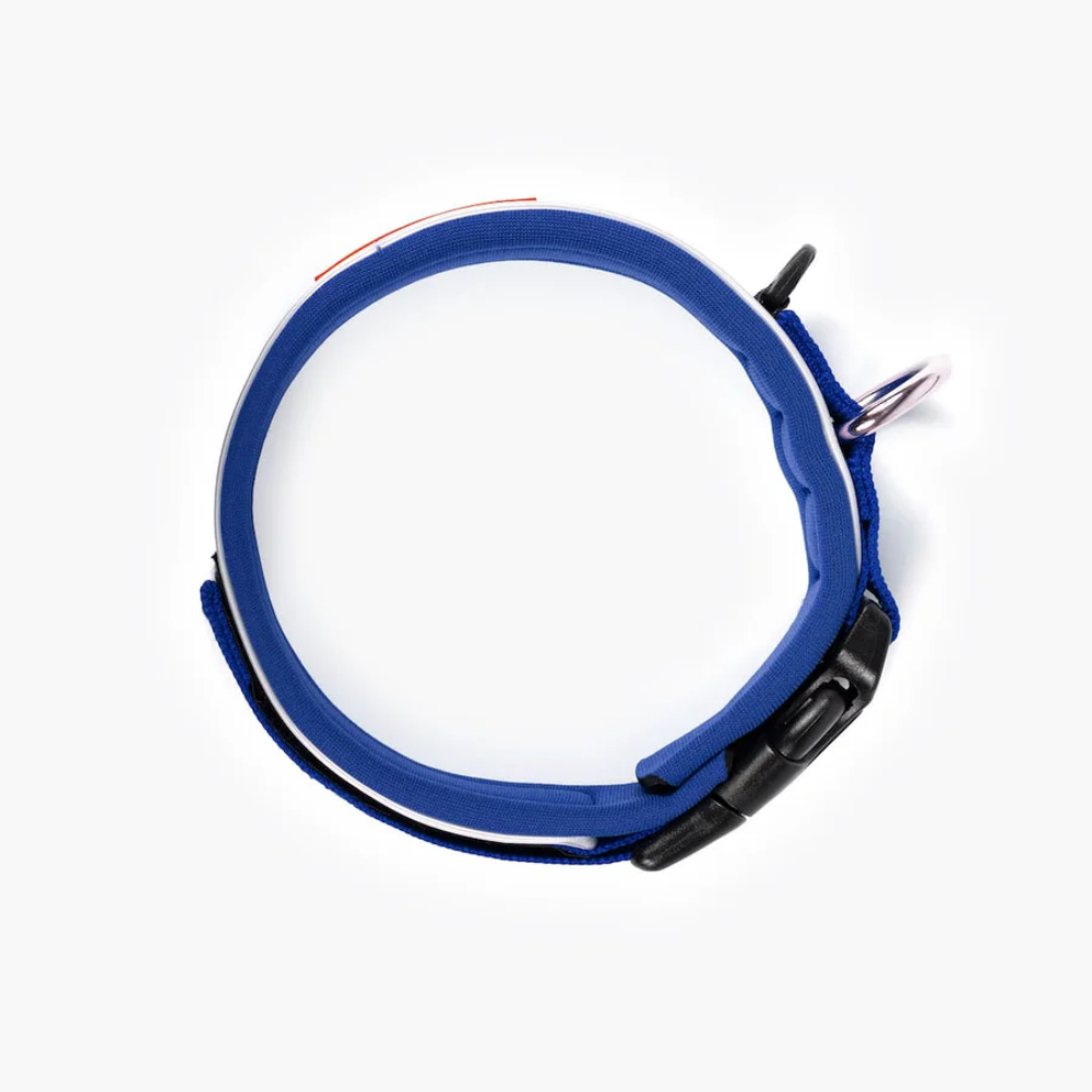 EzyDog NEO COLLAR CLASSIC XL BLUE