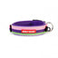 EzyDog NEO COLLAR CLASSIC XS BUBLE GUM
