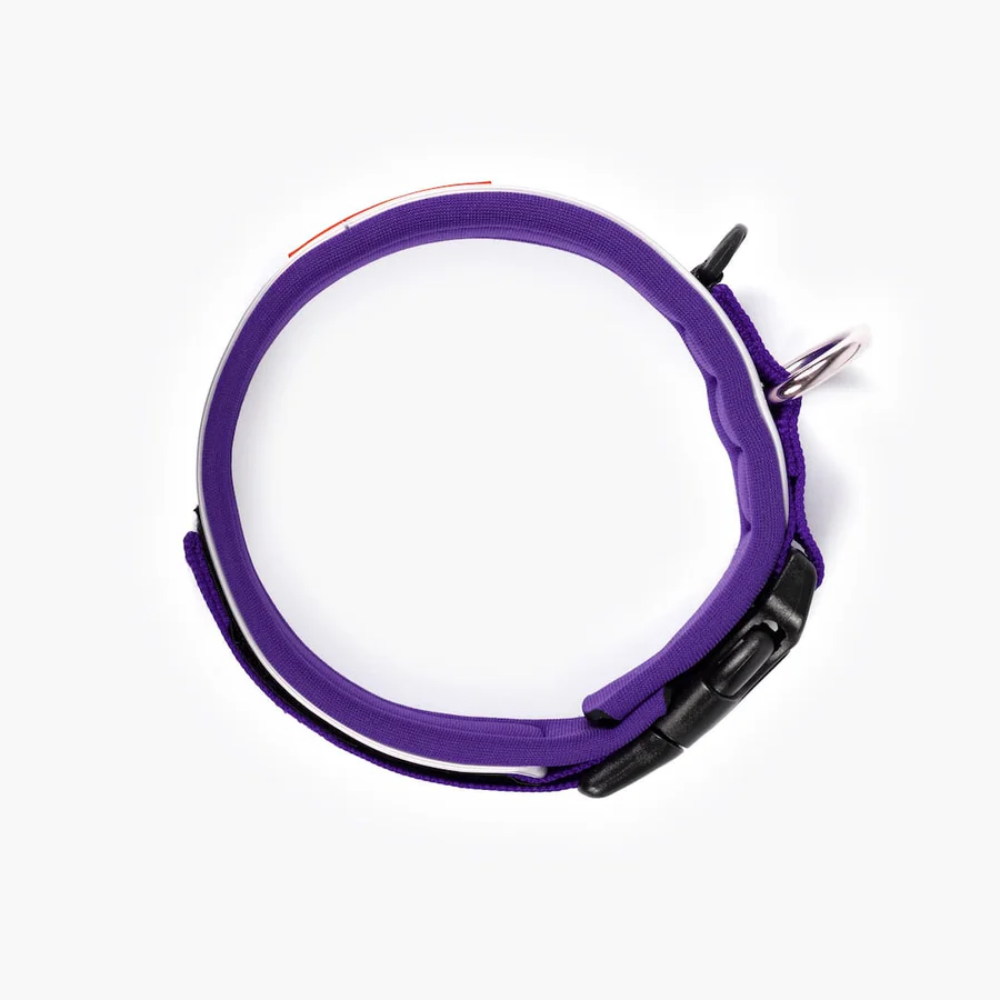 EzyDog NEO COLLAR CLASSIC XS PURPLE